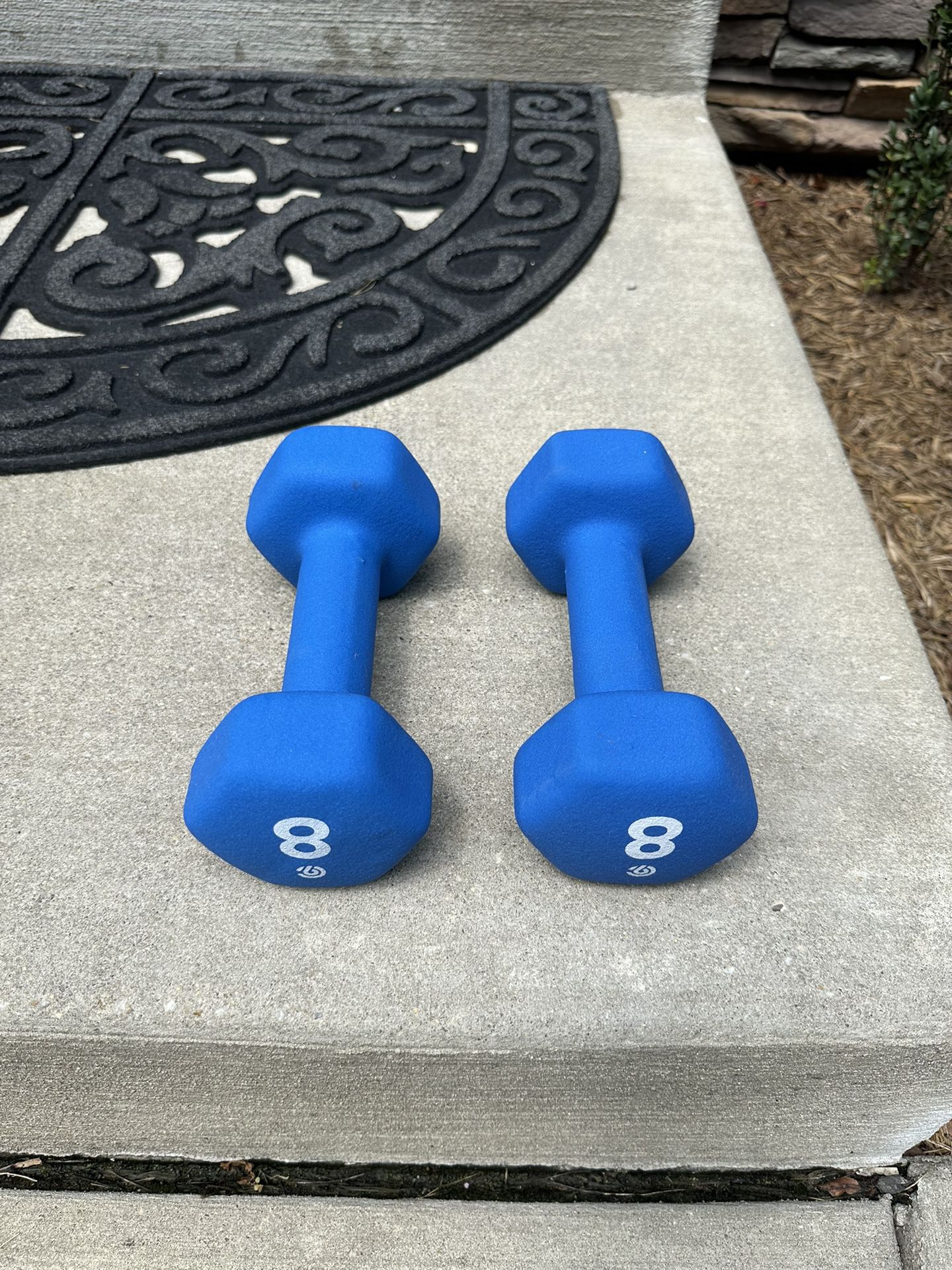 A pair of 8 lbs Dumbbells in great condition 