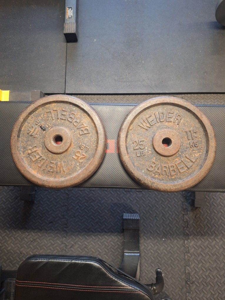 25 pounds Weight Plates