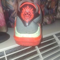 7 Witness  LeBron James HO 22 Performance Basketball 