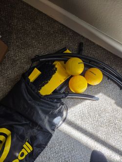 Spikeball Net