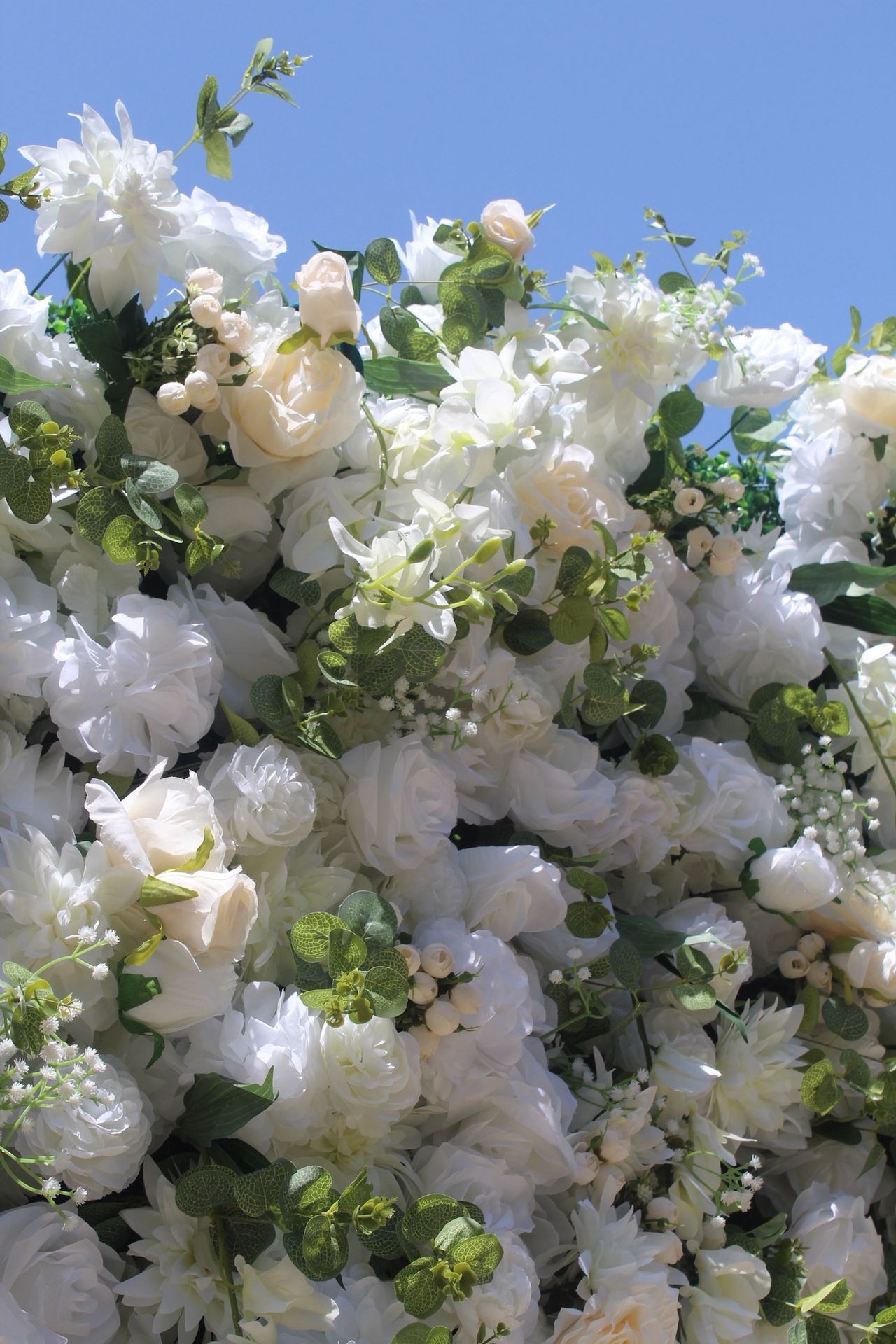Garden Rose Photo Wall