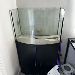 Fish Tank