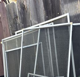 Window Screens