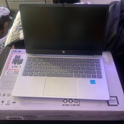 Brand New Hp Laptop 