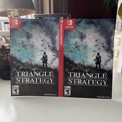 Triangle Strategy Nintendo Switch ‘For Display Only’ Case Artwork Only