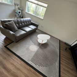 Couch, Rug , Floating Tv Stand, Coffee Table 