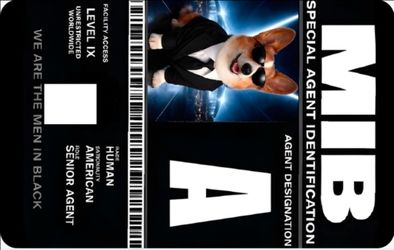 Custom credit card