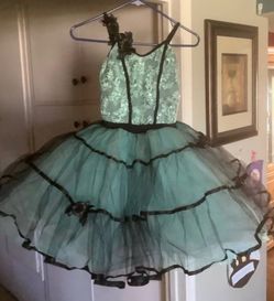 Ballet Recital Costume