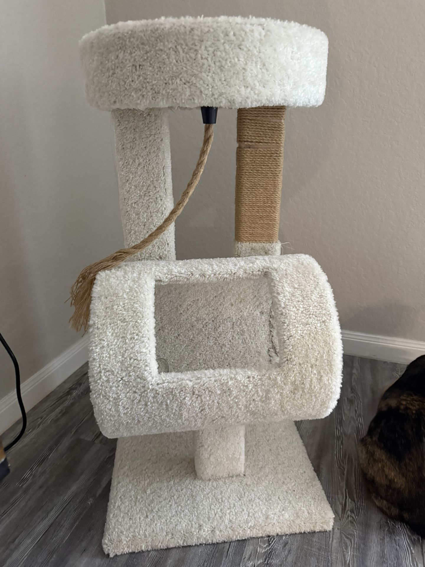 Cat Scratching Post