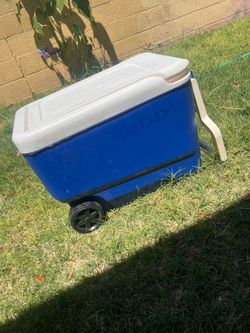 This is an Igloo Wheelie Cool 38 QT Cooler