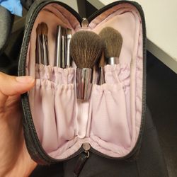 Face Brush Set Kirkland Costco With Case 
