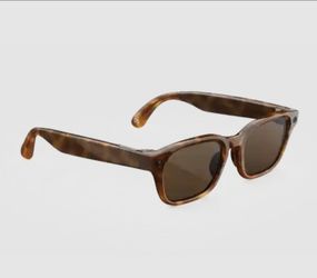 META GLASSES AI ADVENTURER