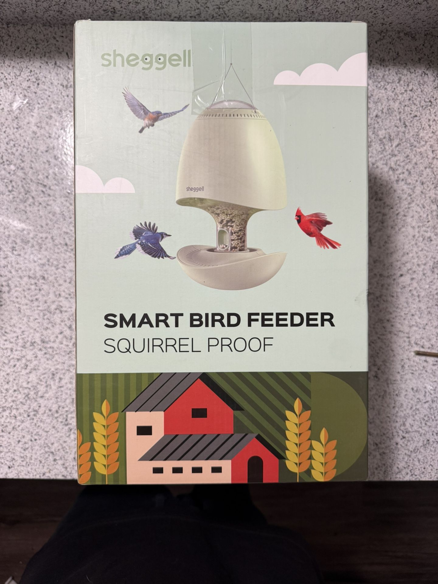 Sheggell Bird Feeder 