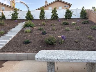 Mulch