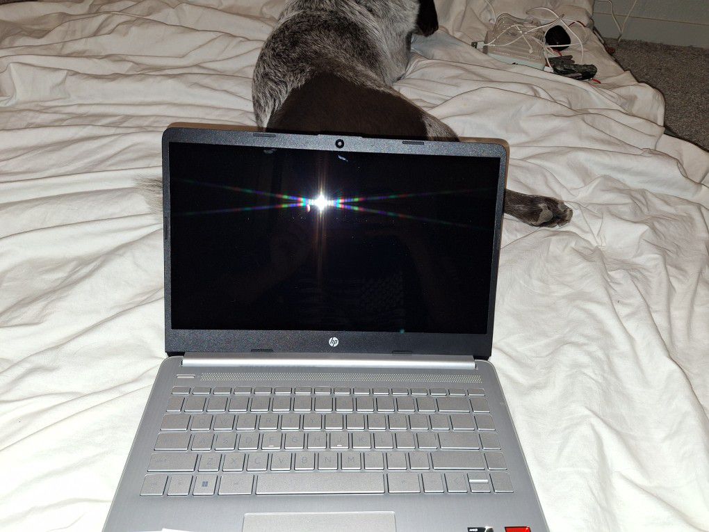 Brand New HP Laptop 