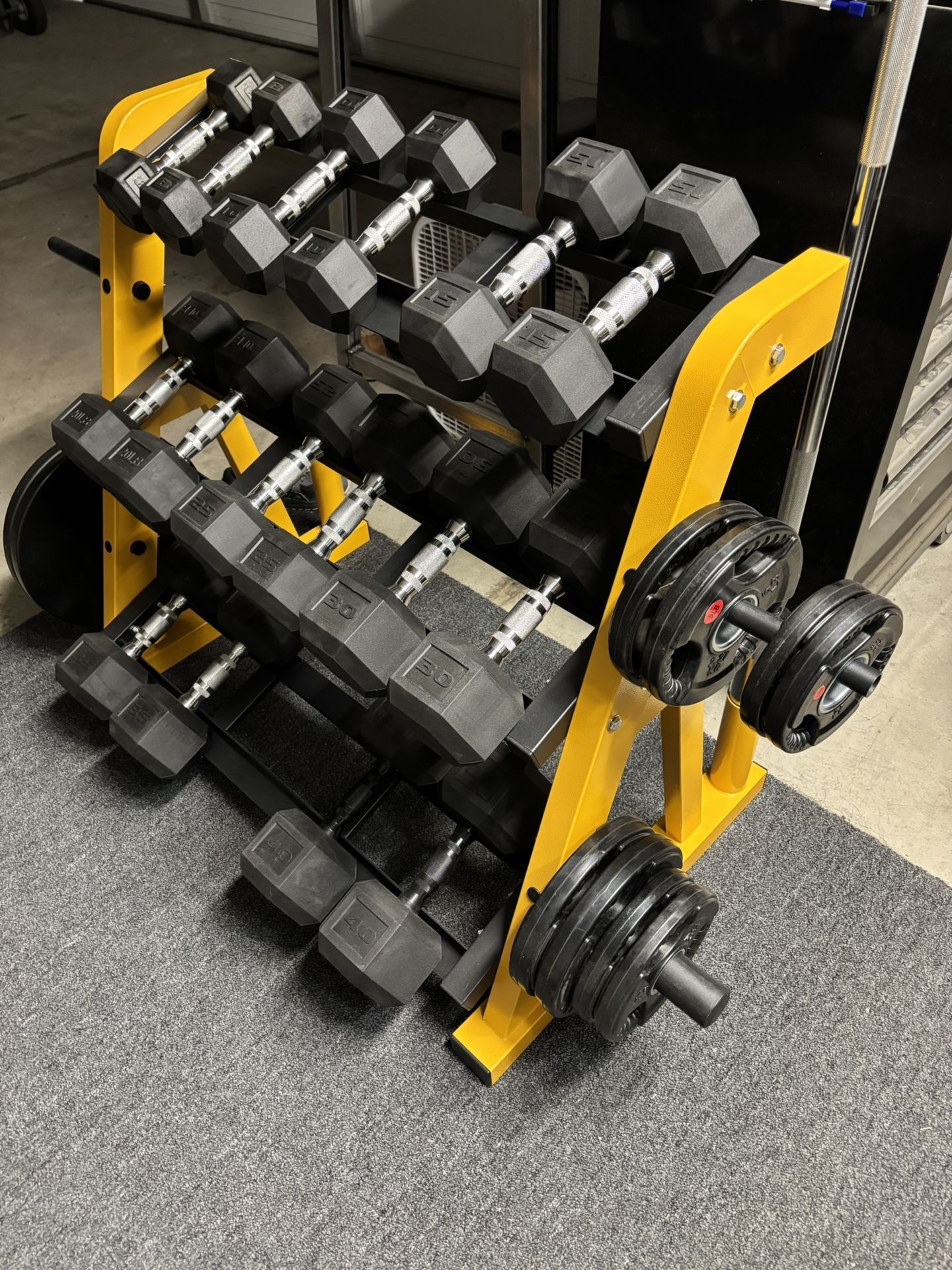 Dumbbells and Rack