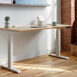 60” Standing Desk by Branch with In-Desk Power