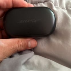 Bose case only