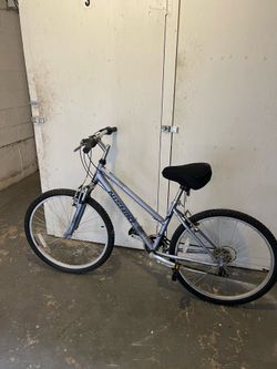 Great Bike 24”