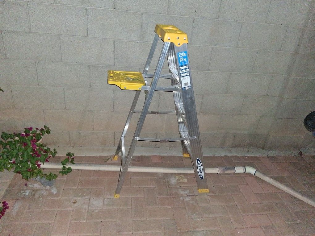 Ladder BRAND NEW