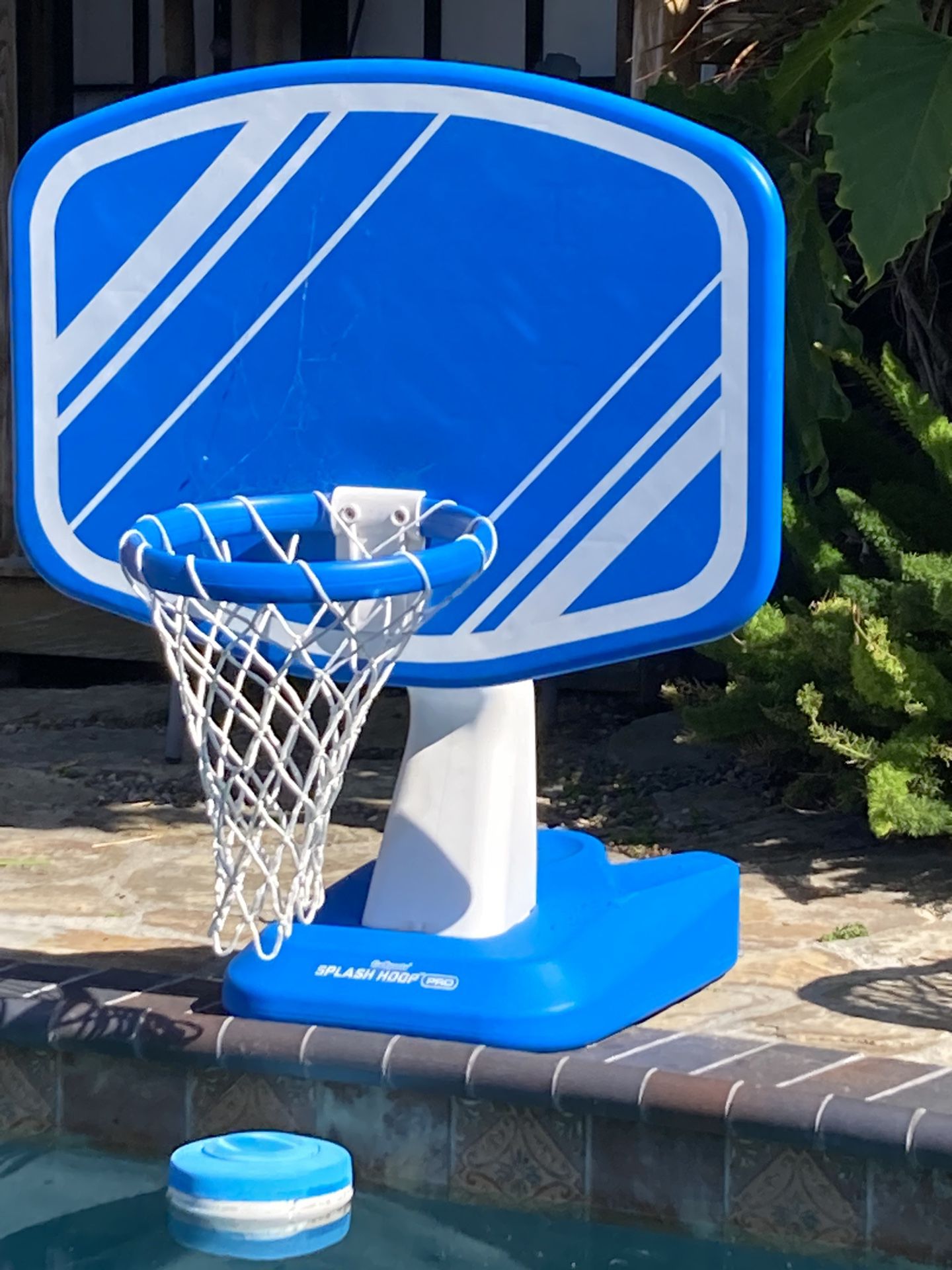 Pool basketball Hoop