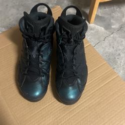 Jordan 6 All Star Chameleon 2016