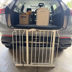 Dog Gates 