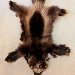 Wolverine Pelt