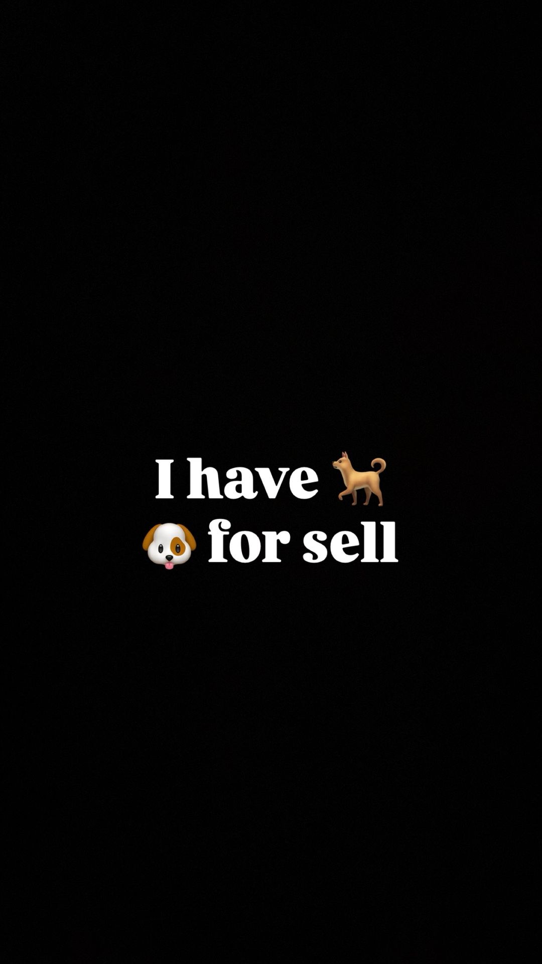 Hit Me For More Details Send Number