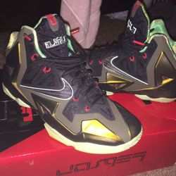 Lebron kings pride
