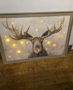 Picture Frame That Lights up