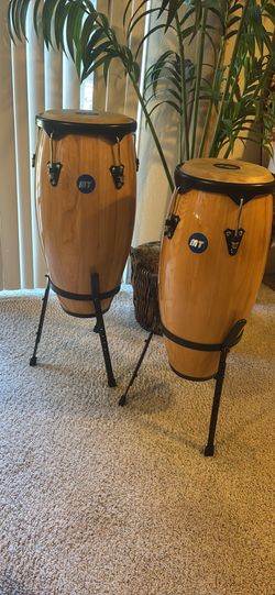 Brand new congas