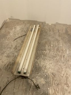 Fluorescent Shop Lights