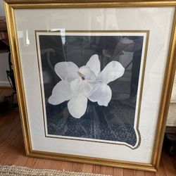 Magnolia Picture 