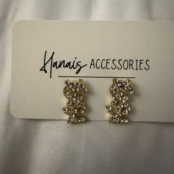 Luxury Earrings 