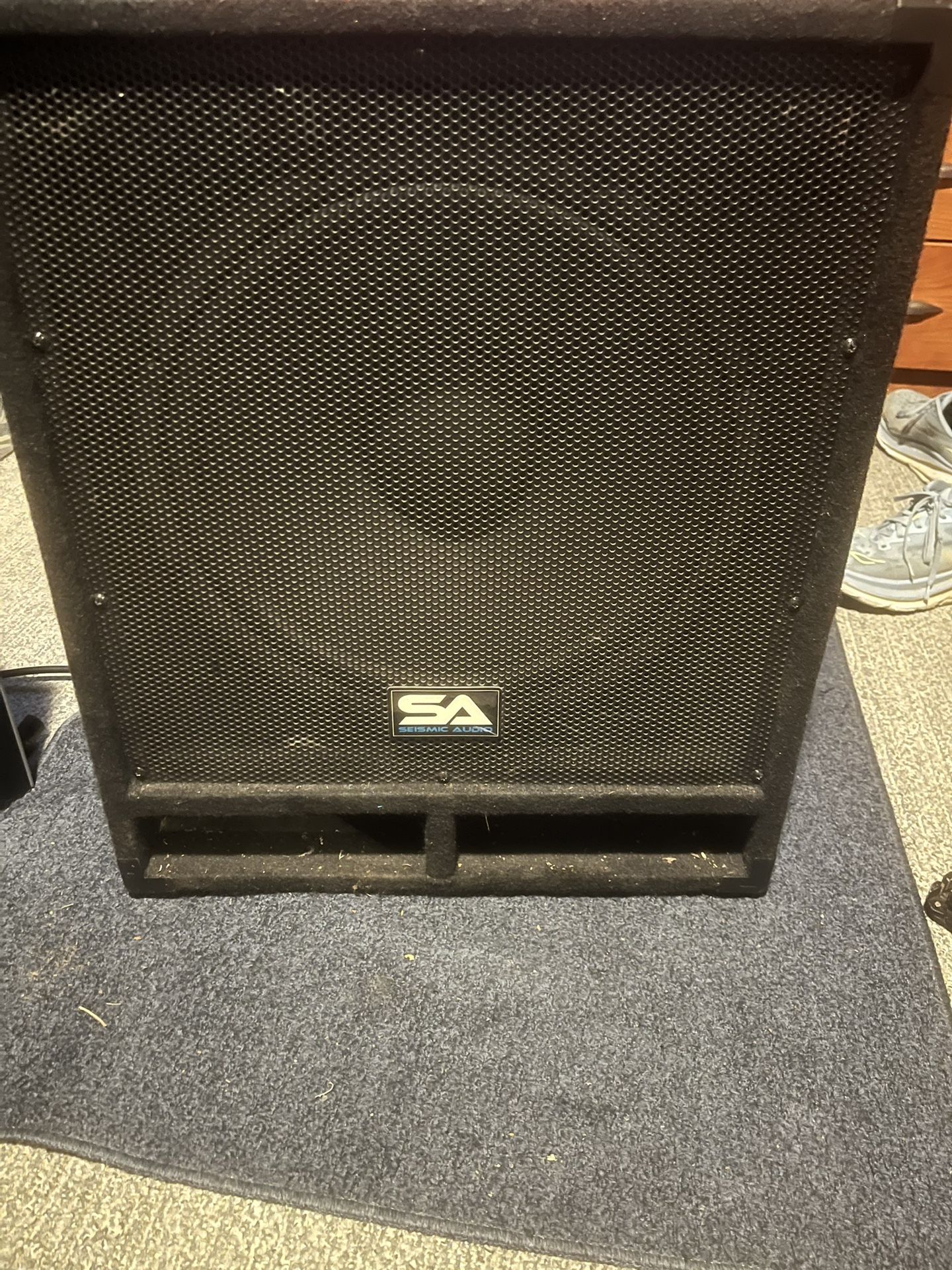 12 Inch Big Subwoofer No Sound