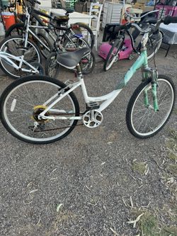Bike $80