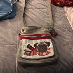 Purse in good condition￼
