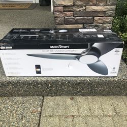 Outdoor Ceiling fan Light With Wifi