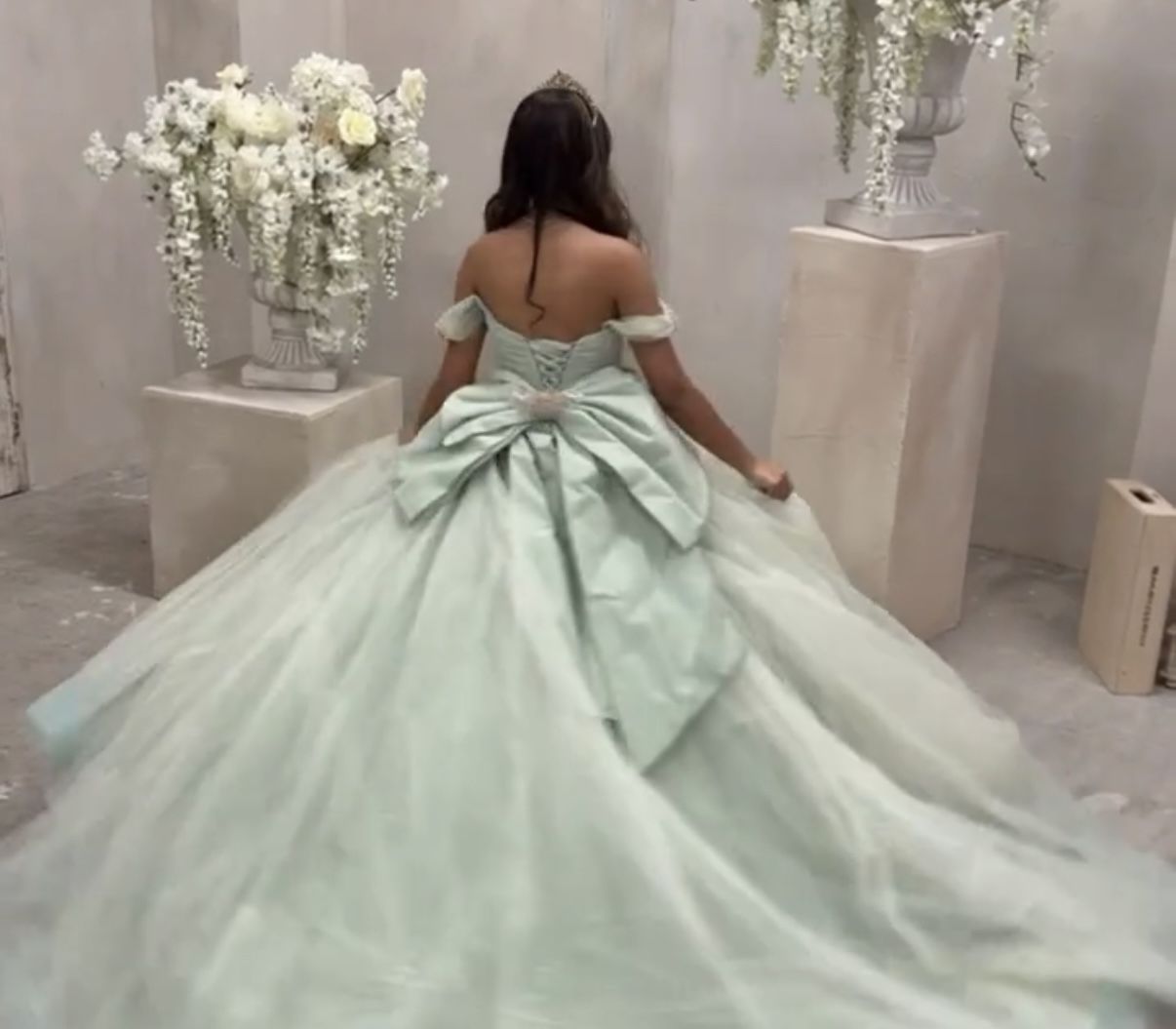 Quinceañera/ Sweet 16 Dress