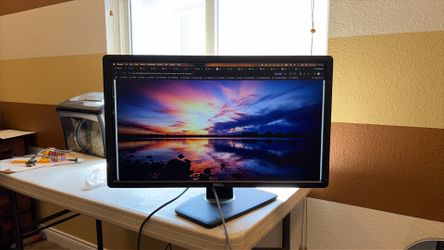 Dell P2412 HB monitor