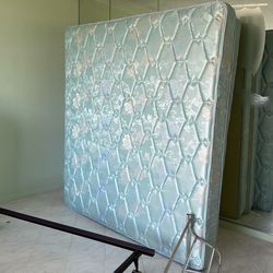 Free king bed, box springs, lamp, shoe racks