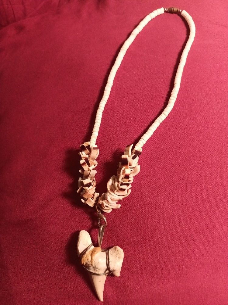 Collar Diente De Tiburón