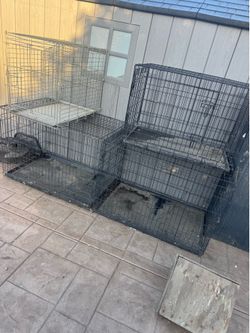 Kennel