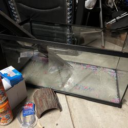 Fish tank and Supplies