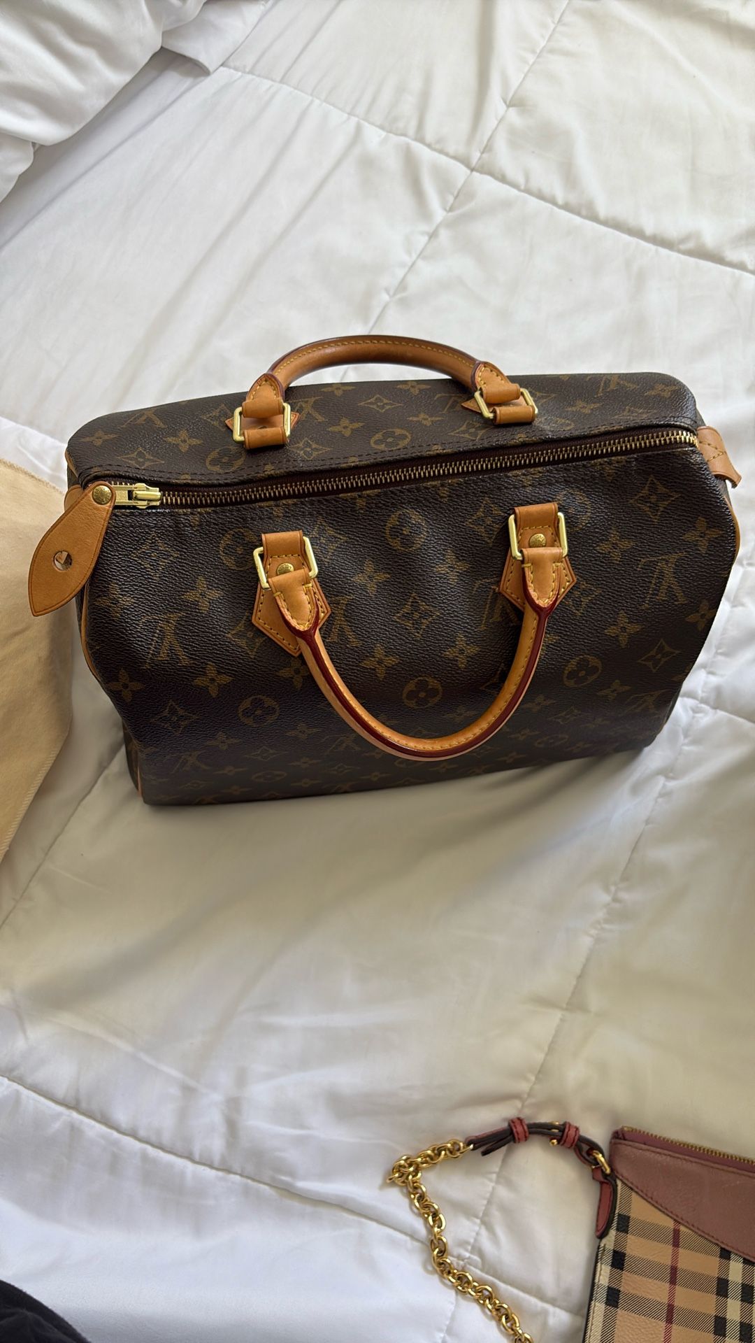 Louis vuitton Bags