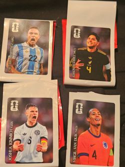 FIFA Panini stickers