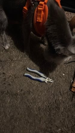Dog Nail Clipper