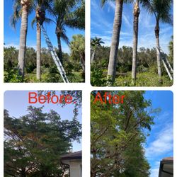 Landscaping Tree Trimming Call Or Text (contact info removed)