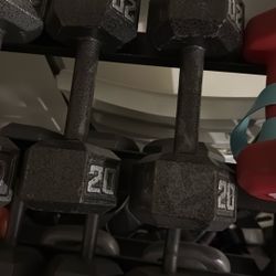 Dumbell Set